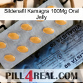 Sildenafil Kamagra 100Mg Oral Jelly 44